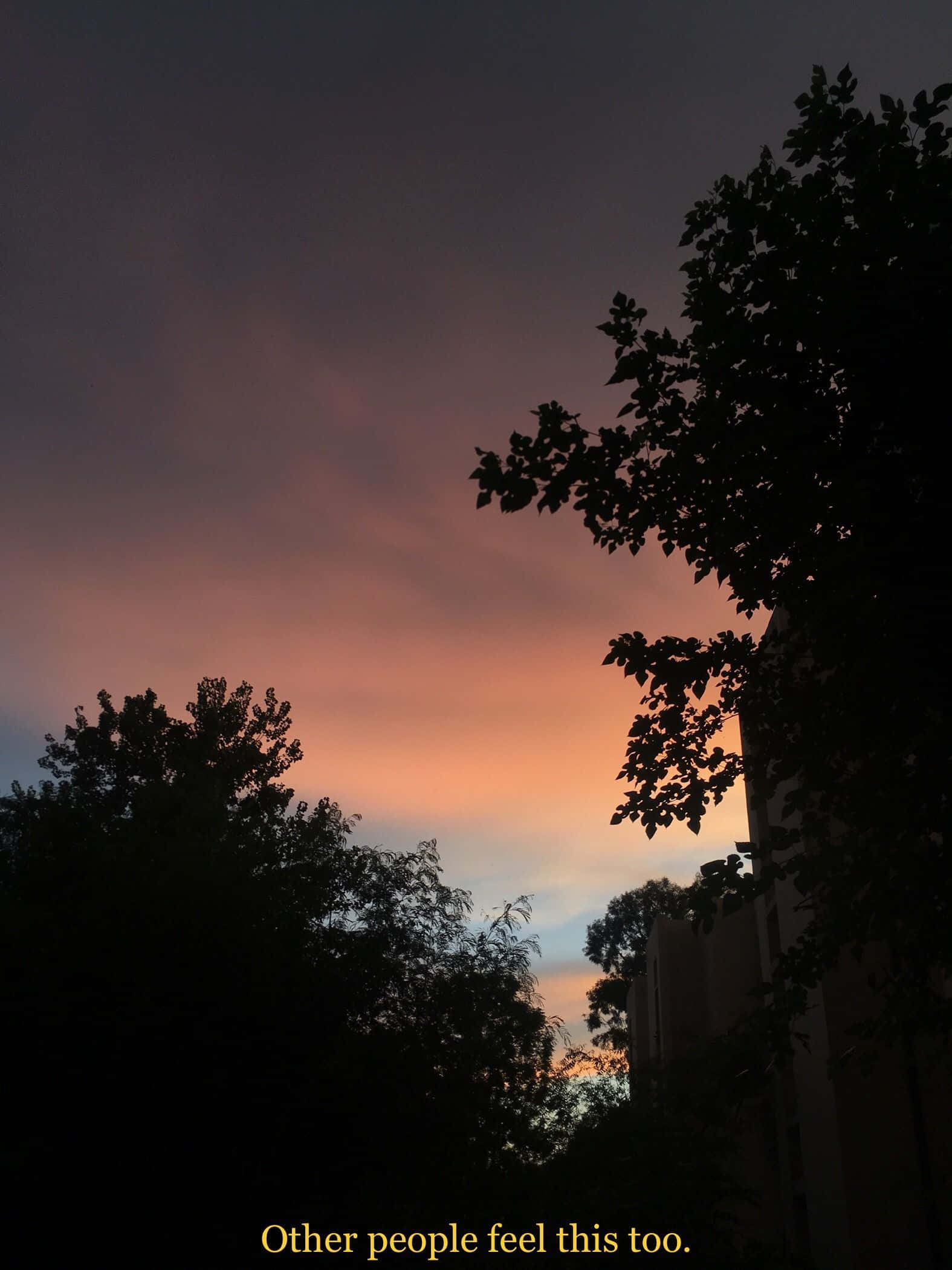 Caption: Embracing The Past Through A Vintage Grunge Filter