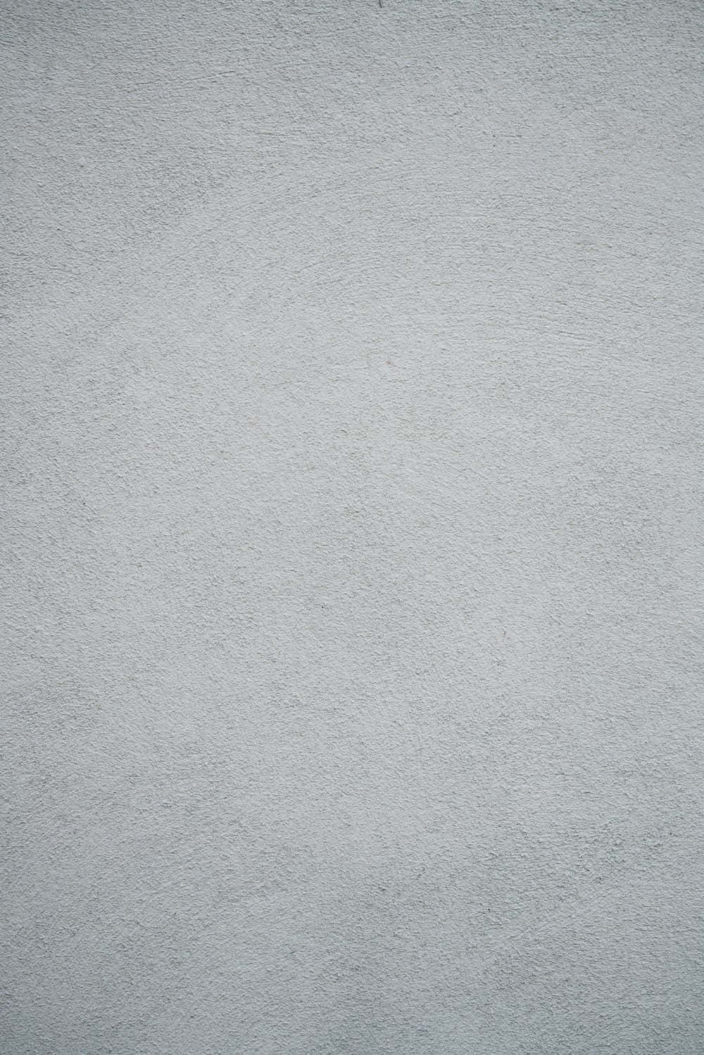 1. Cute Grey, Along For The Ride Wallpaper