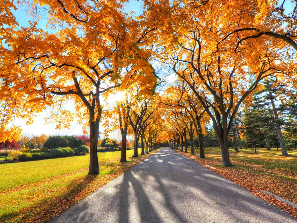 1024 X 768 Autumn In Bansko Bulgaria Wallpaper