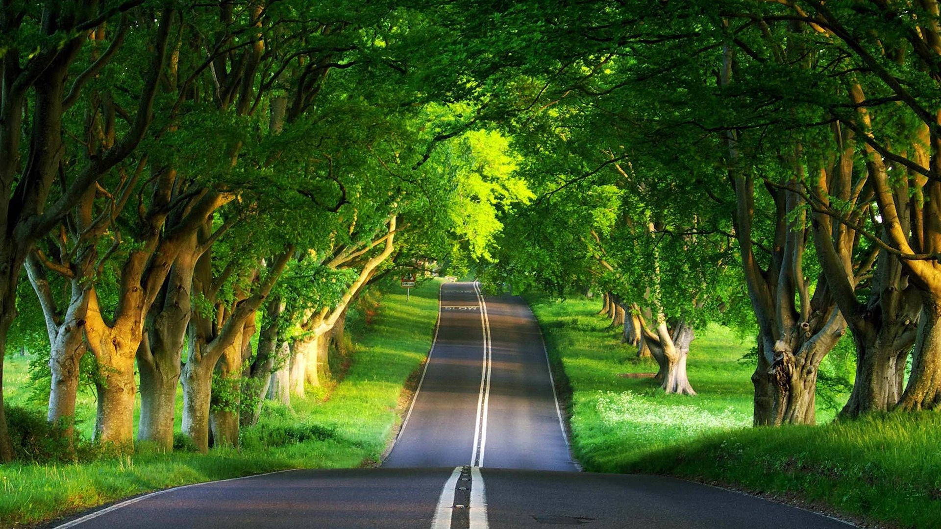 1920x1080 Full Hd Nature Gray Road Wallpaper