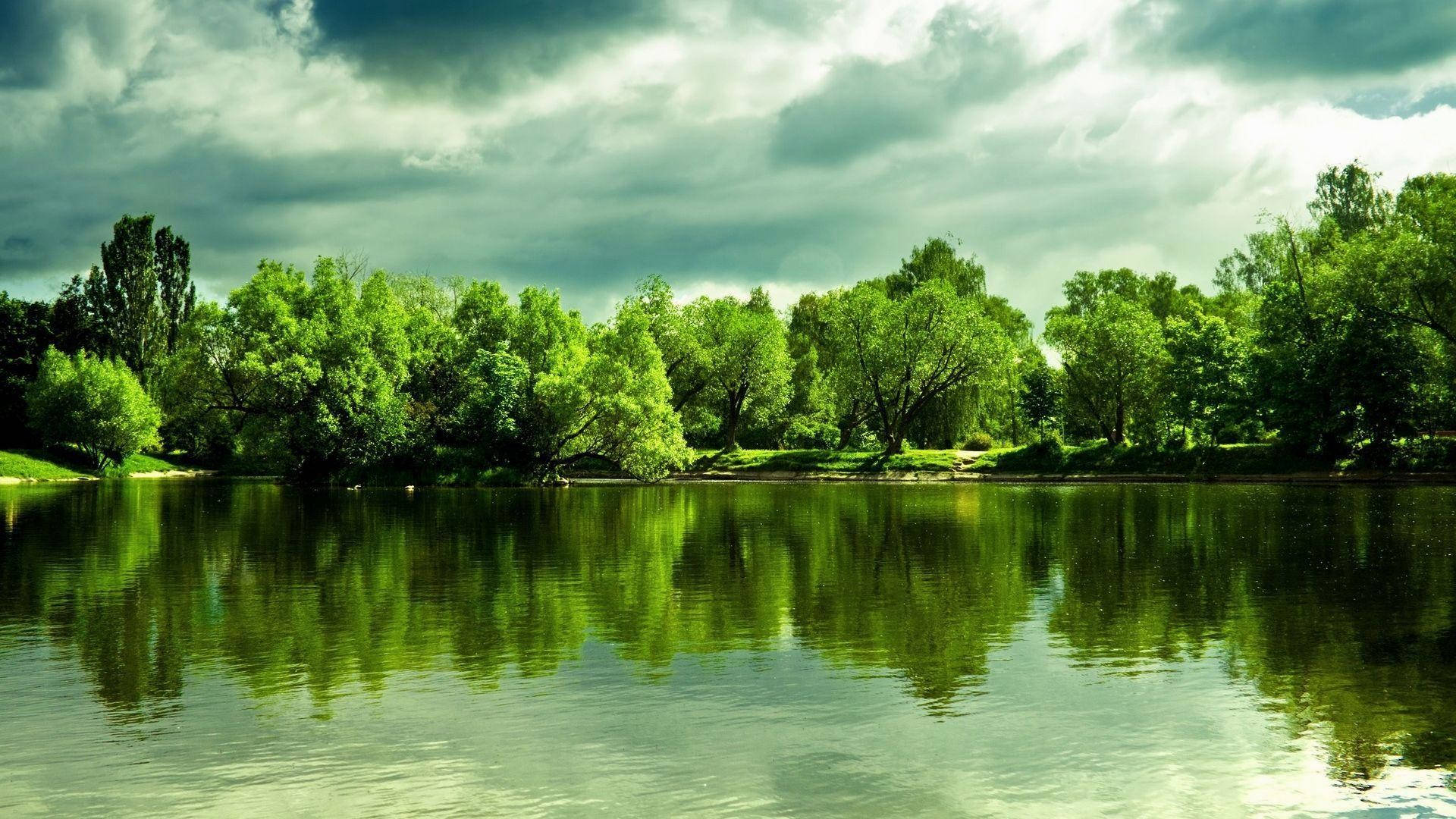 1920x1080 Full Hd Nature Green Trees And Gloomy Sky Wallpaper