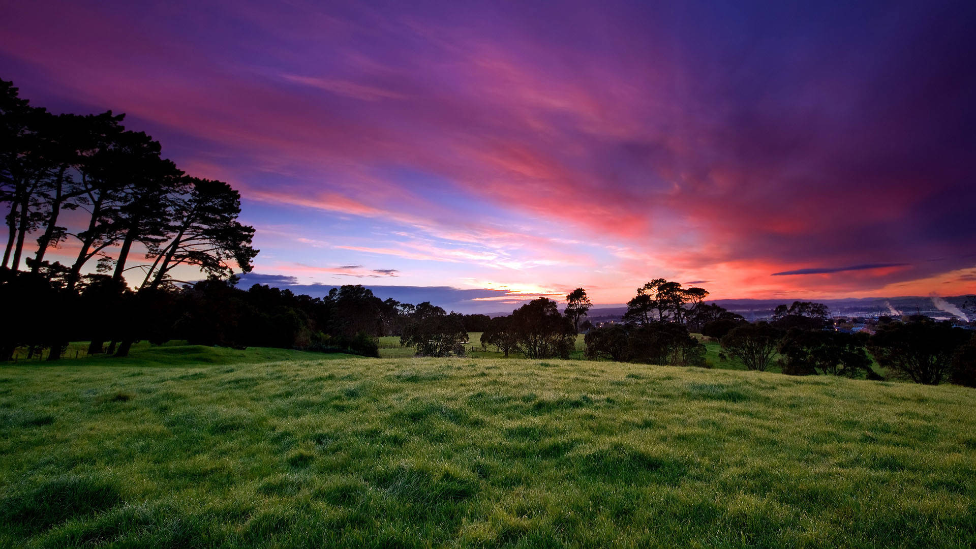 1920x1080 Full Hd Nature Purple Sky Wallpaper