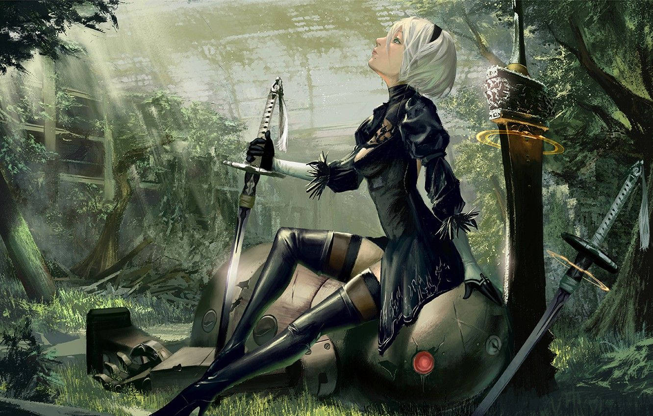 2b The Android, A Part Of The Nier Automata Cast Of Characters Wallpaper