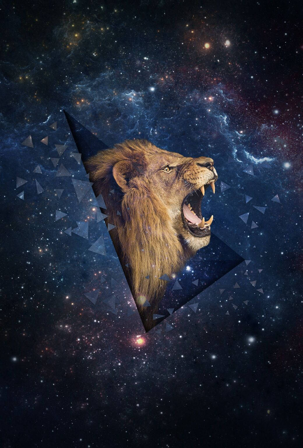 3d Lion Galaxy Wallpaper