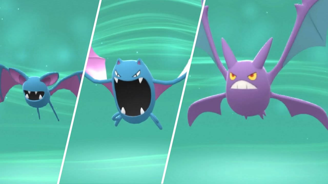 3d Zubat Evolution Line Wallpaper