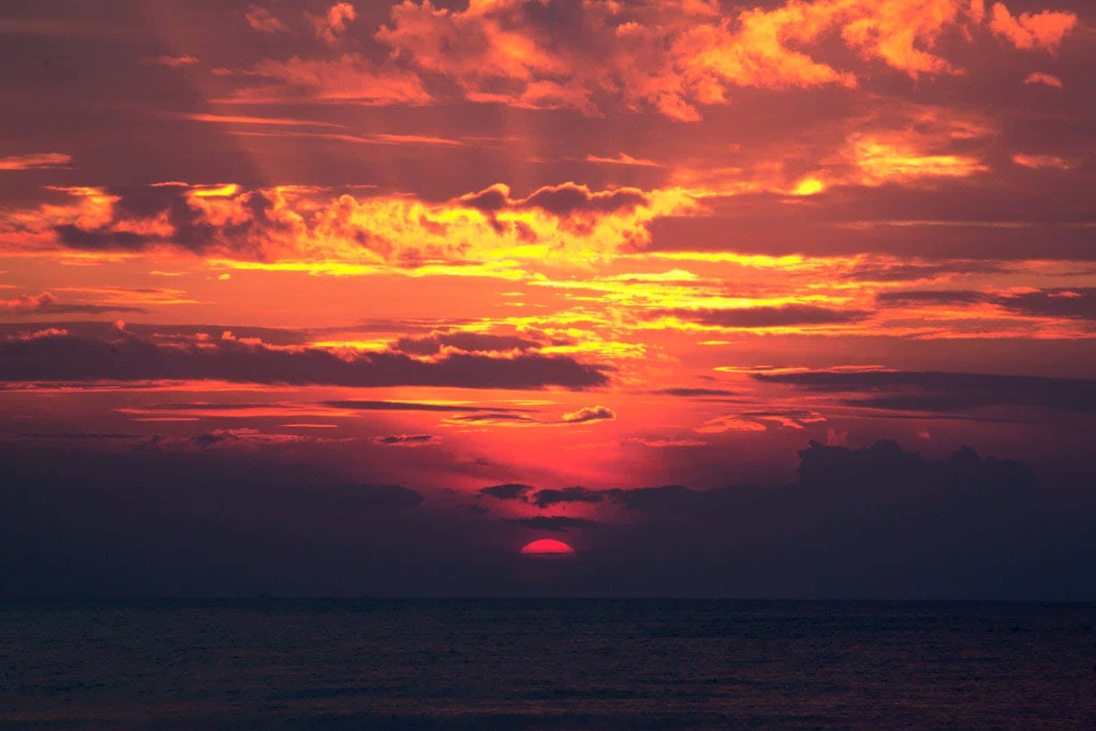 A Beautiful And Calm Silhoutte Of A Tree Against A Bright Orange Sunset. Wallpaper