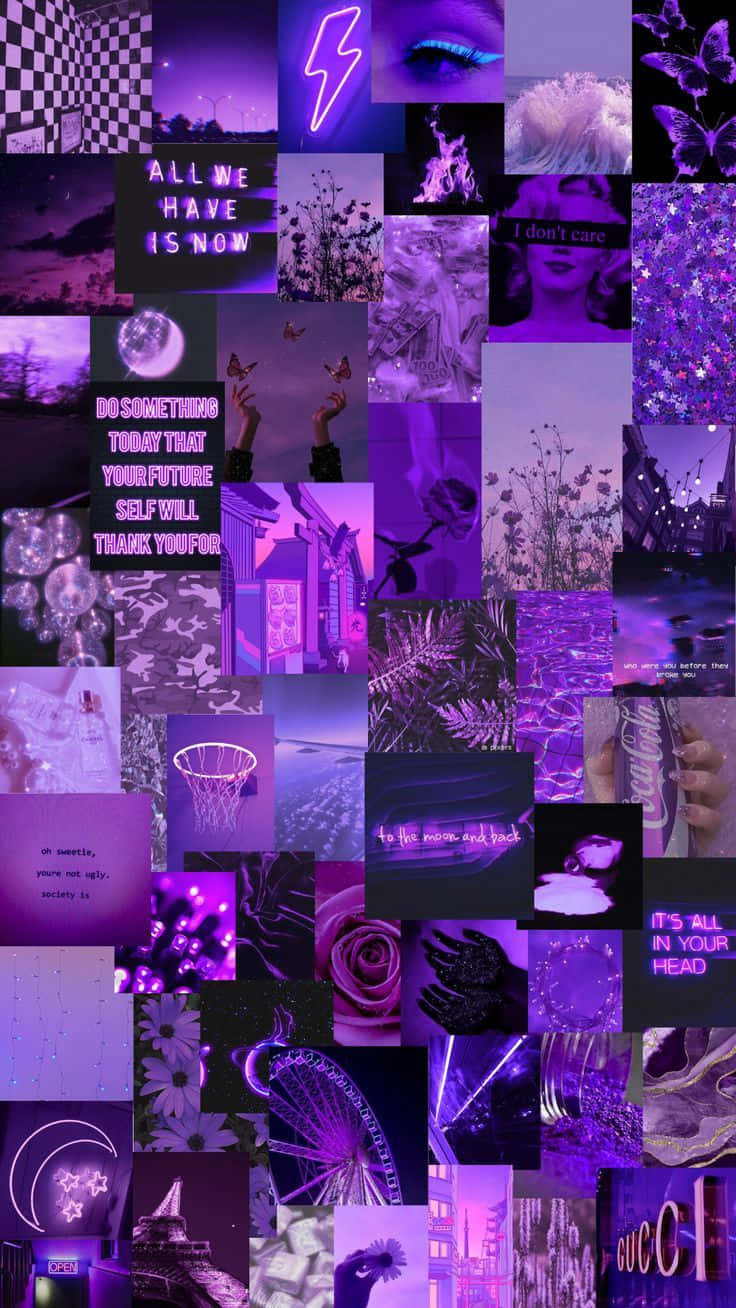 A Beautiful Purple Collage Of Patterns Created Uniquely For Your Viewing Pleasure Wallpaper