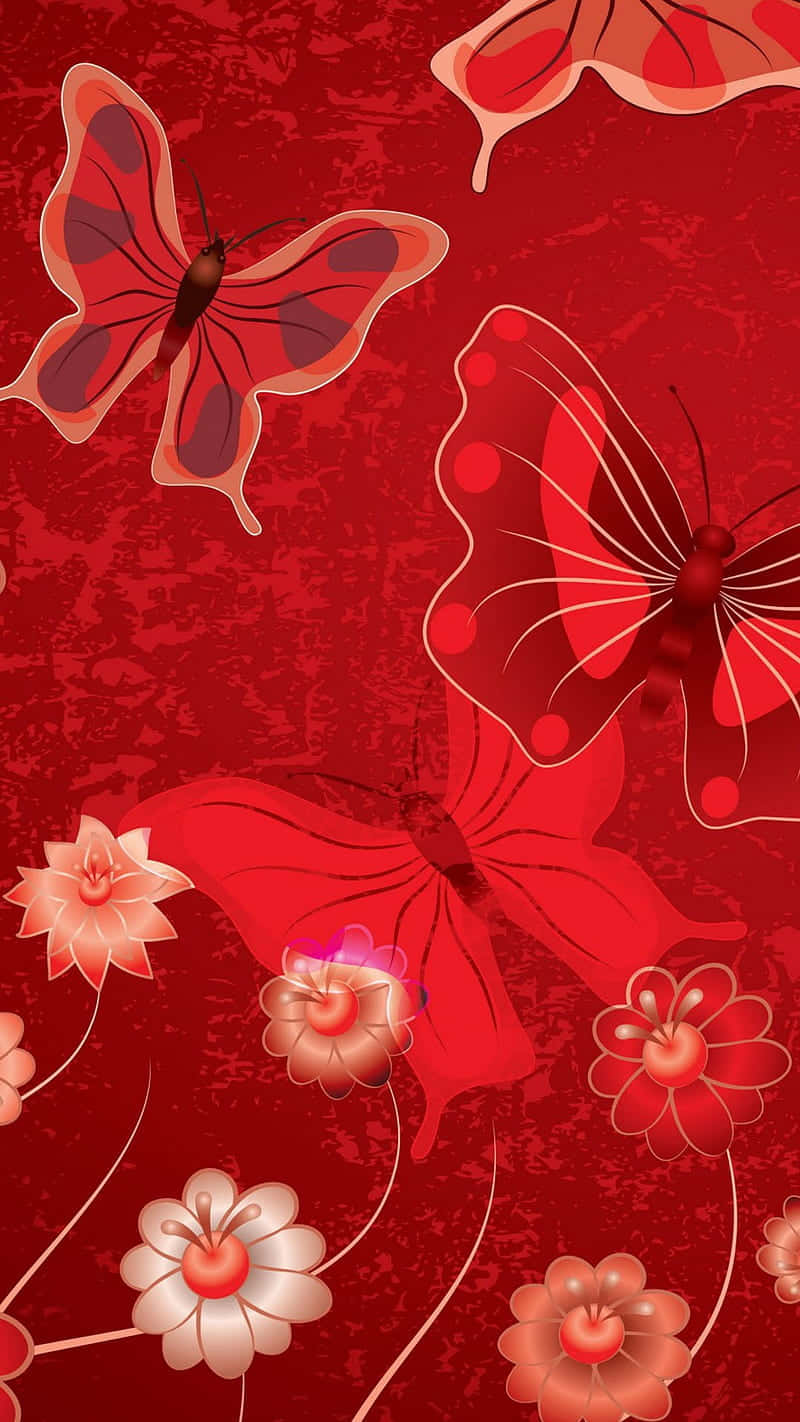 A Beautiful Red Butterfly Sitting On A Flower Wallpaper