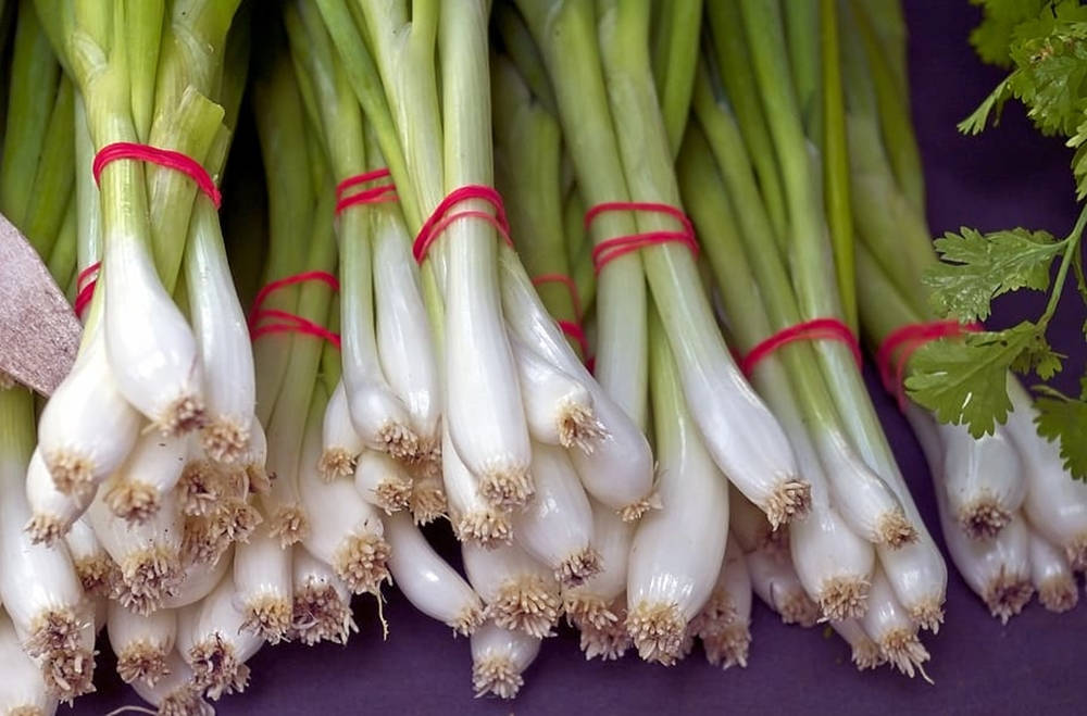 A Bundle Of Spring Onions Tied With Red Strings Wallpaper