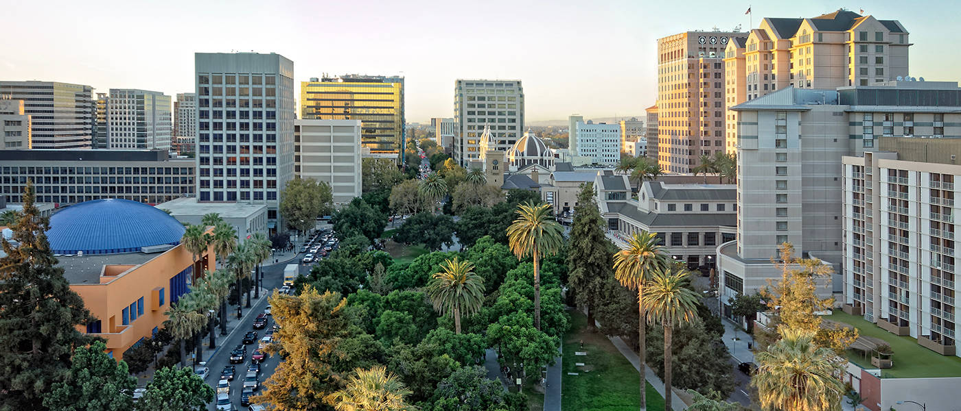 A City With Tall Buildings And Palm Trees Wallpaper