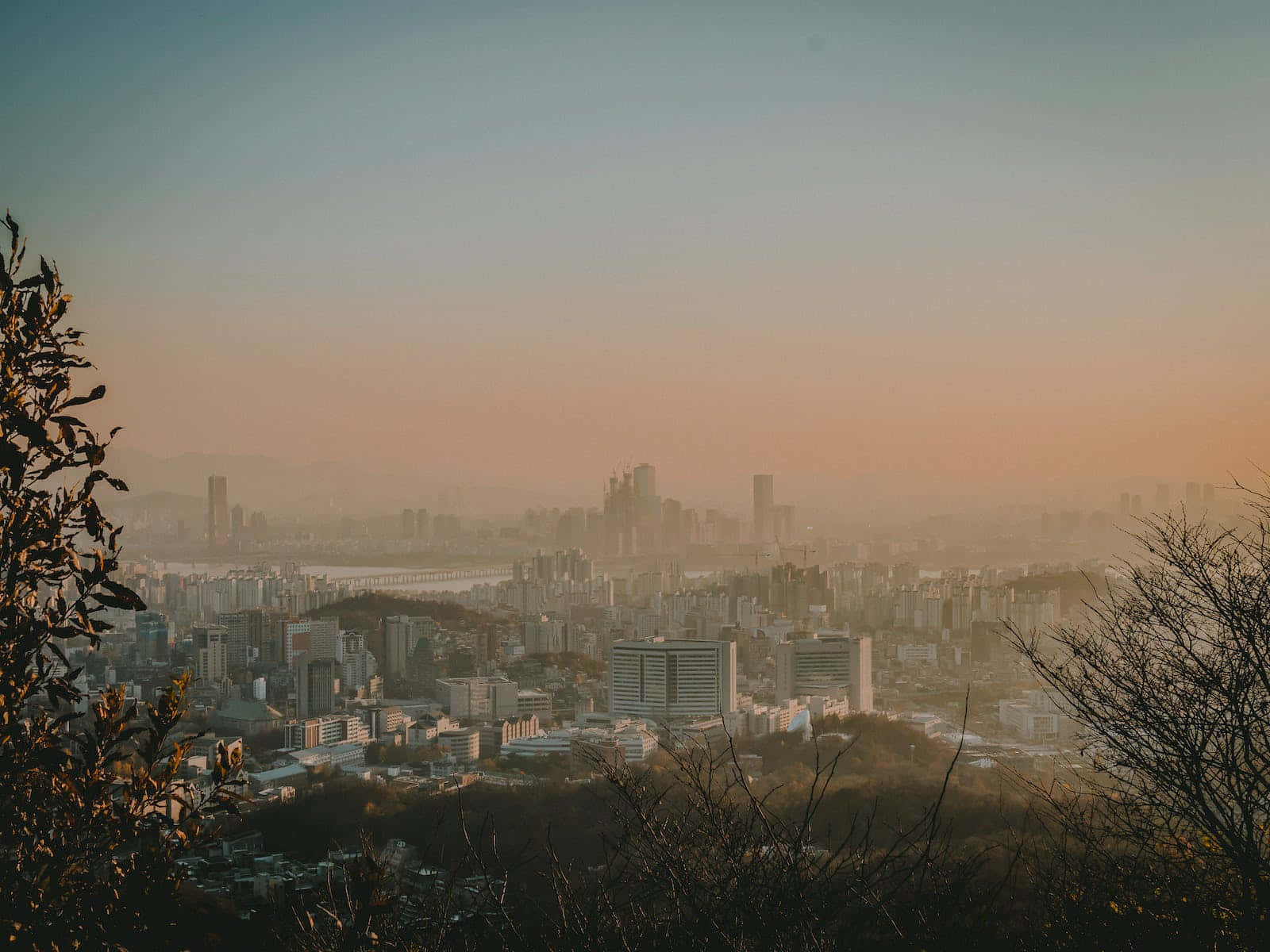 A Cityscape With Trees And A City Wallpaper