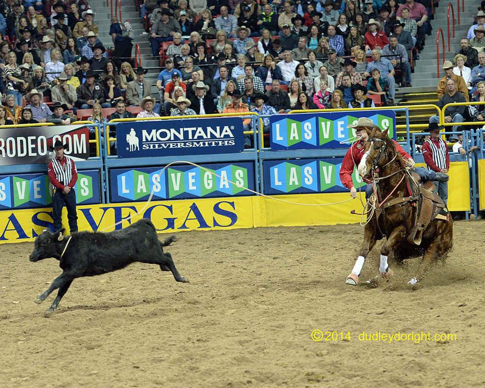 A Cowboy Roping A Horse Wallpaper