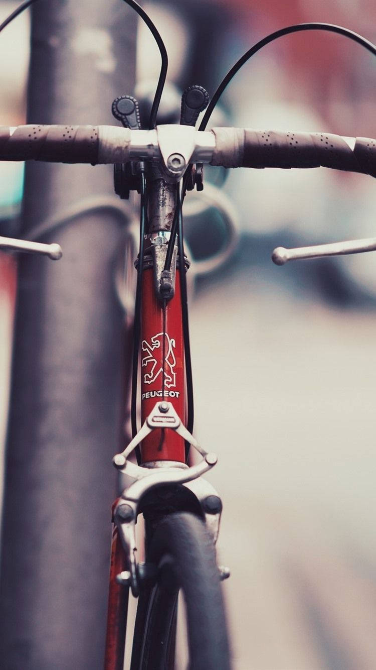 A Cyclist With An Iphone On Their Handlebars Enjoying The Route. Wallpaper