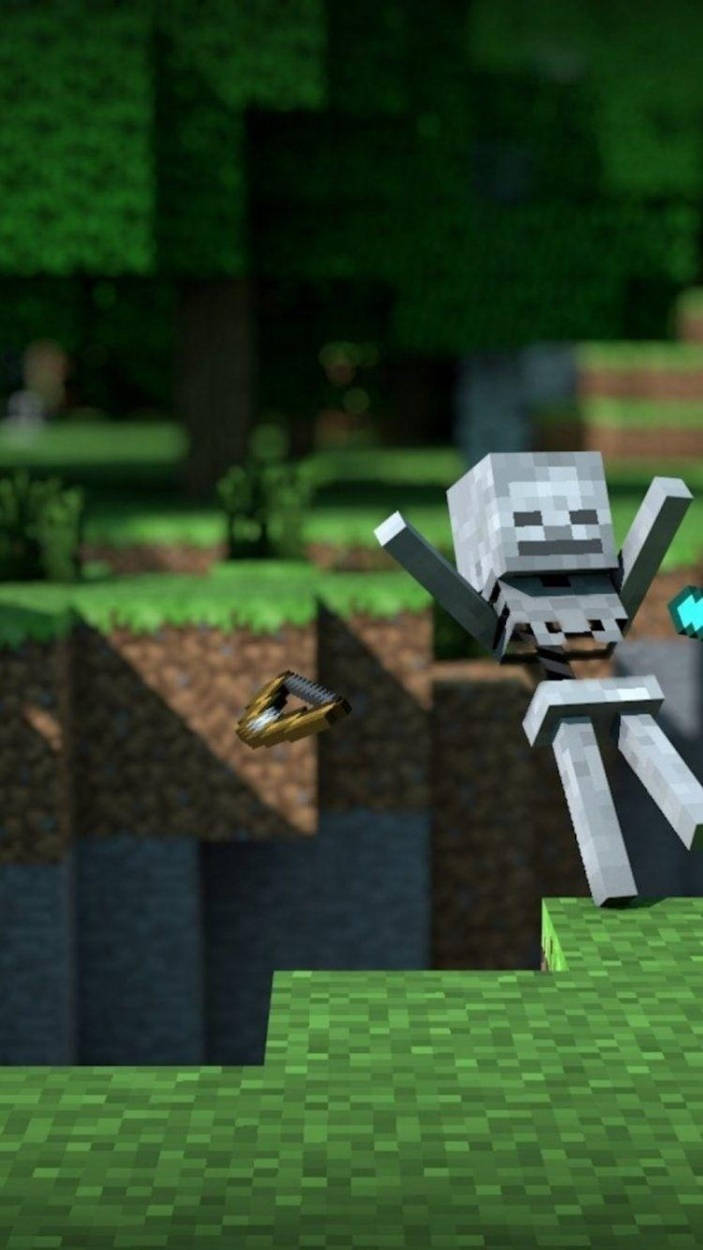 A Daring Encounter: Minecraft Skeleton On Iphone Wallpaper