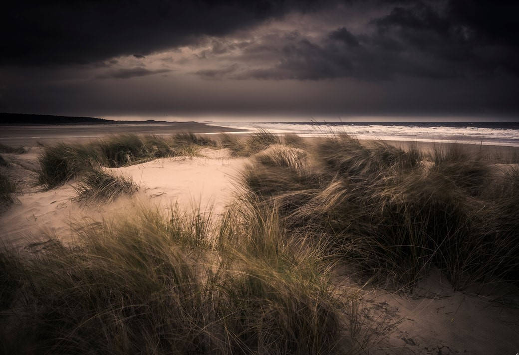 A Dark Hd Photo Of Beach Grasses Along Norfolk Beach Wallpaper