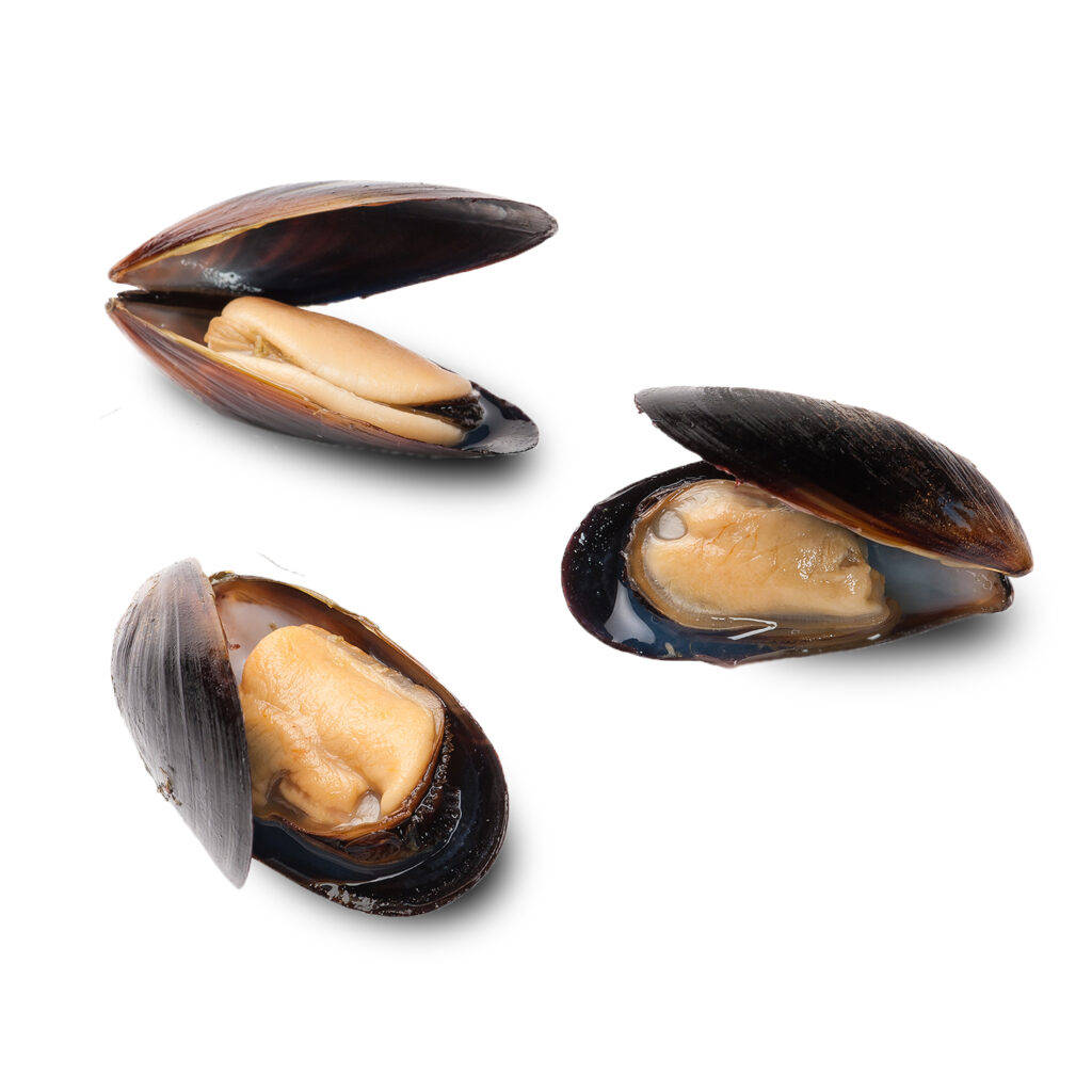 A Fascinating Display Of Brown Mussels With Opened Shells Wallpaper