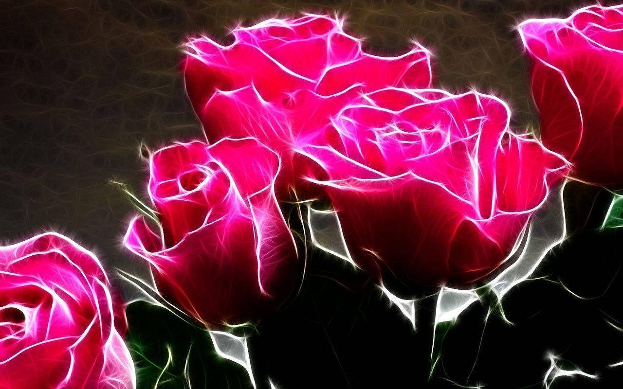 A Glowing Pink Roses Digital Art Wallpaper