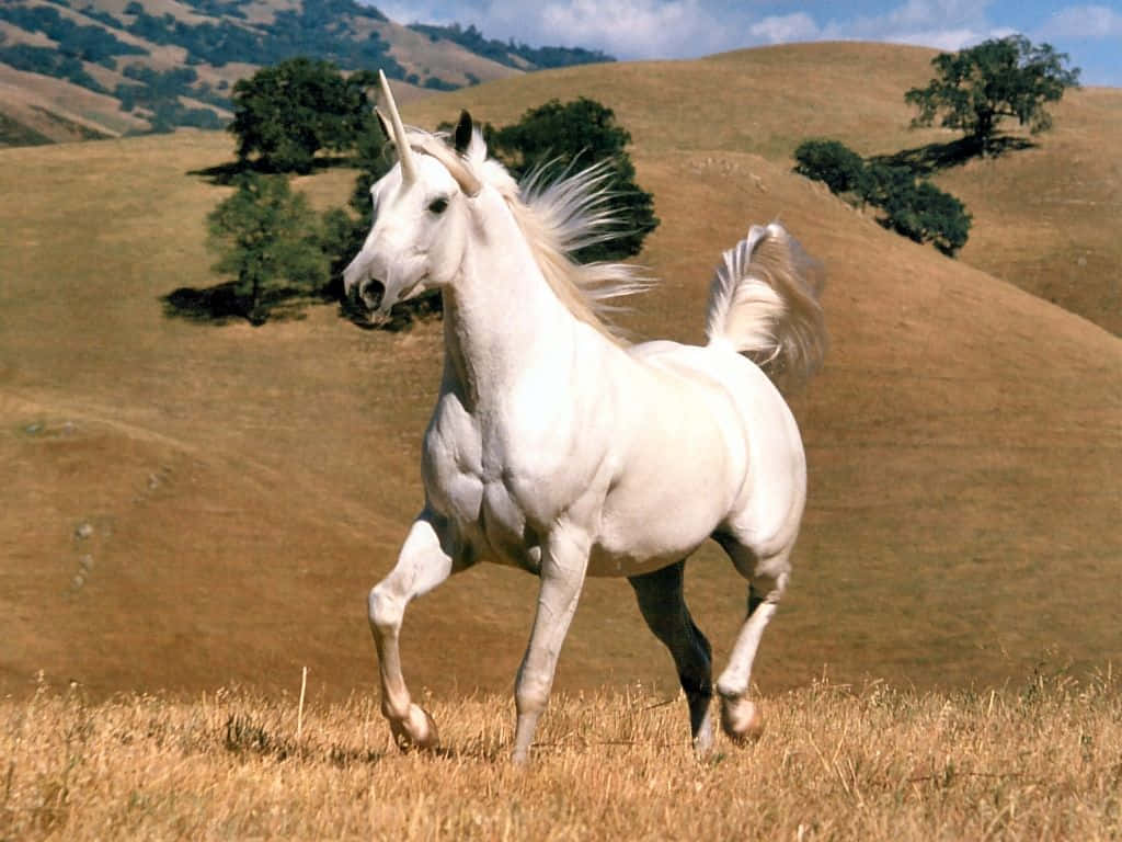 A Gorgeous Real Unicorn In A Landscape Of Vibrant Colors Wallpaper