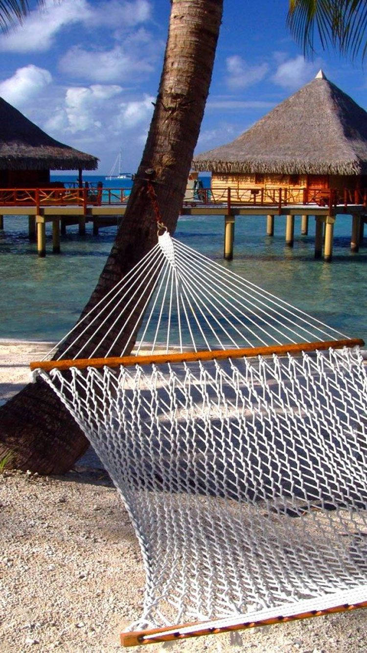 A Hammock Is Sitting On The Beach Near A Palm Tree Wallpaper