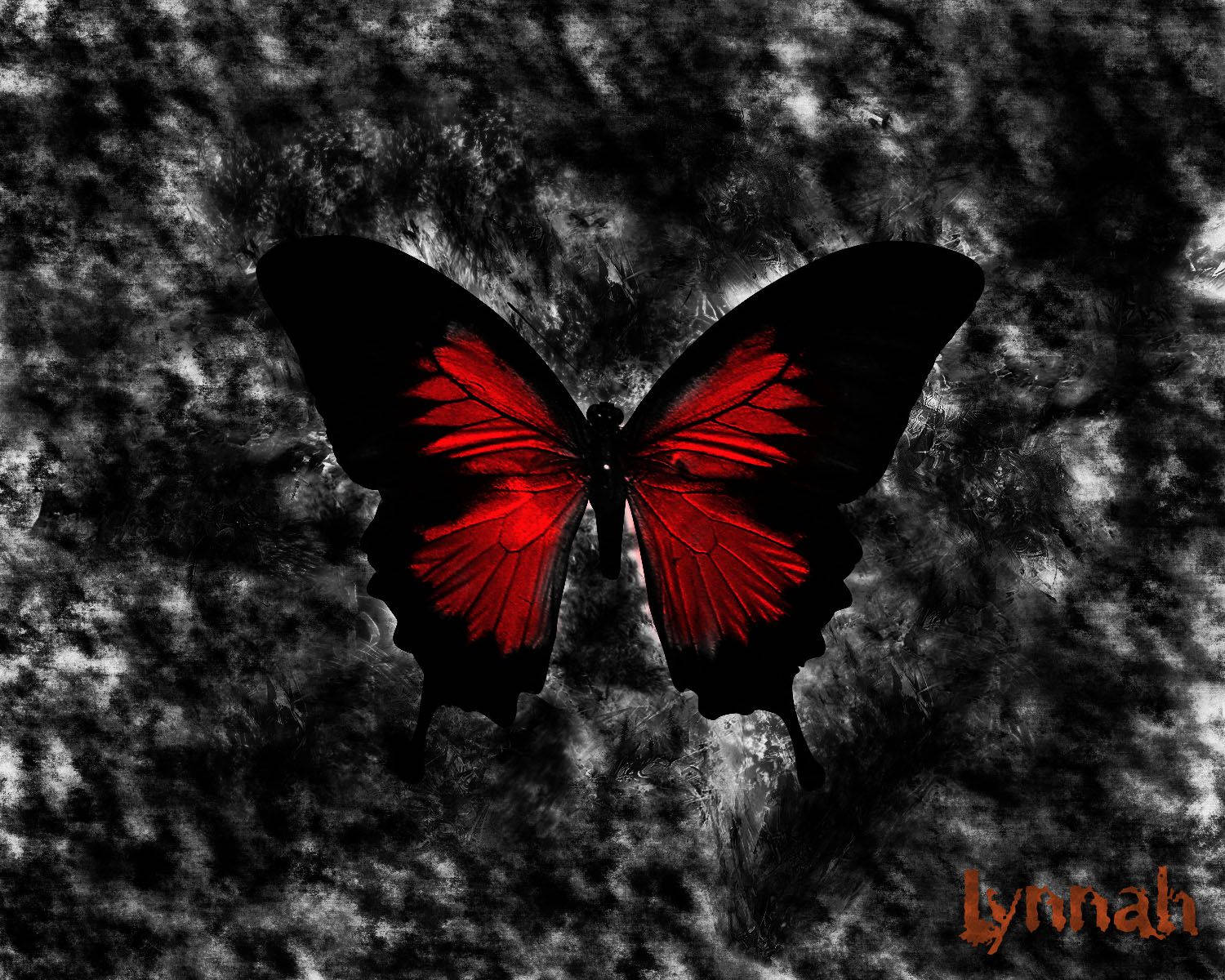 A Lone Black And Red Butterfly Soaring Through The Sky Wallpaper