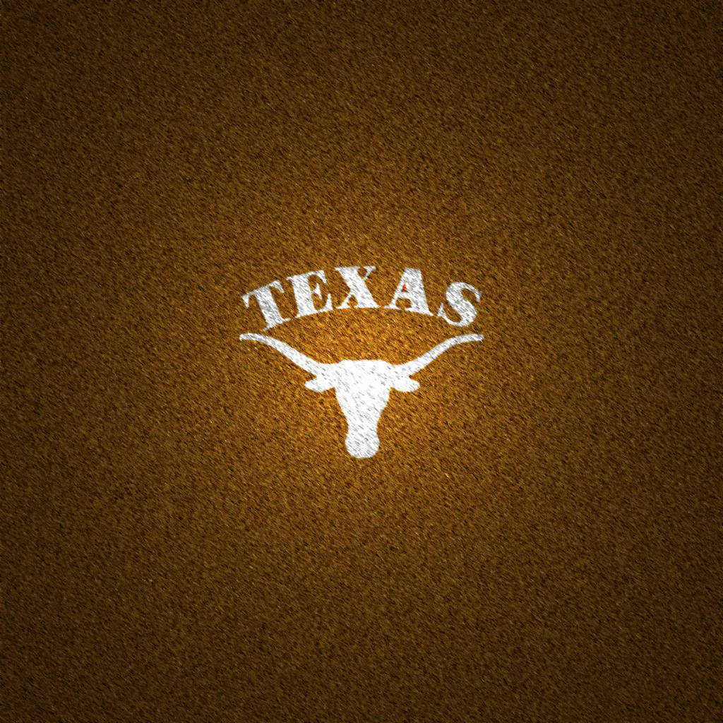 A Longhorn Stands Proud In Texas Wallpaper