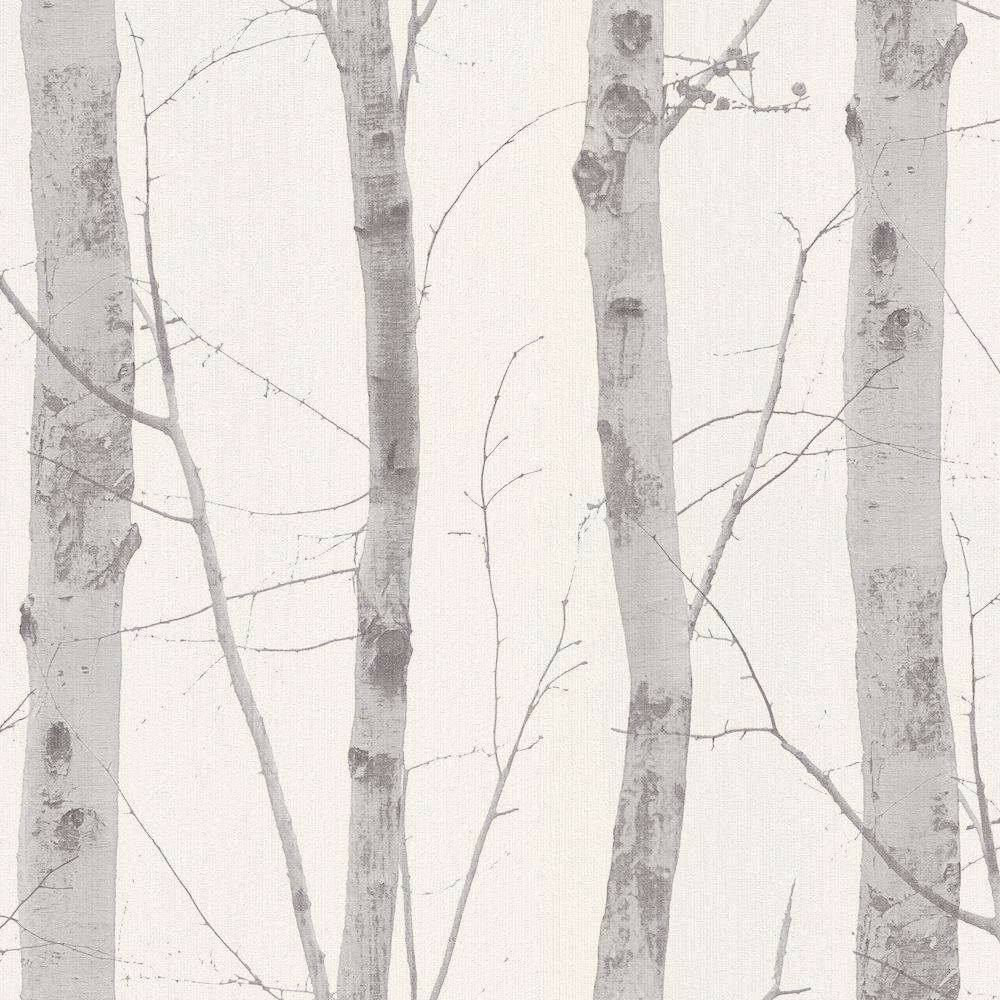 A Majestic Silver Birch Tree On A Bright Sunny Day. Wallpaper