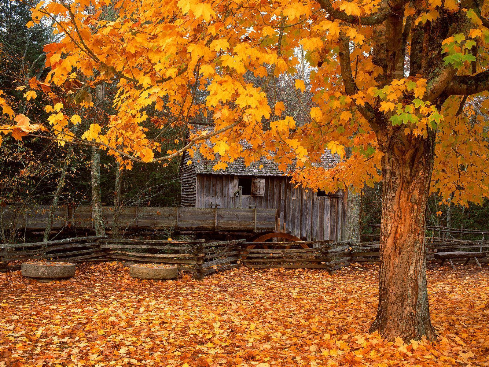 A Majestic View Of The Great Smoky Mountains Wallpaper