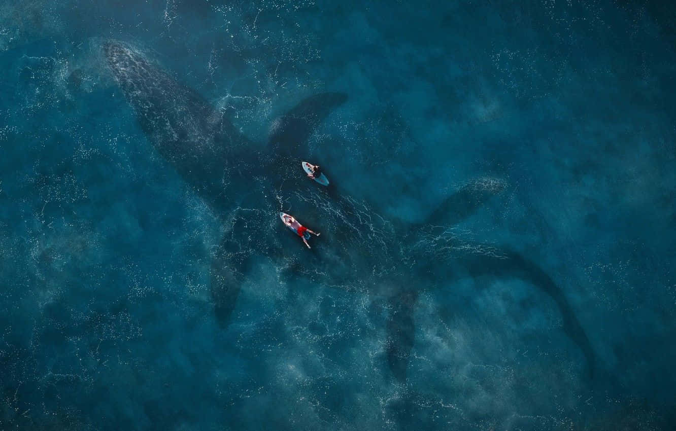 A Man And Woman Are Swimming In The Ocean With A Whale Wallpaper