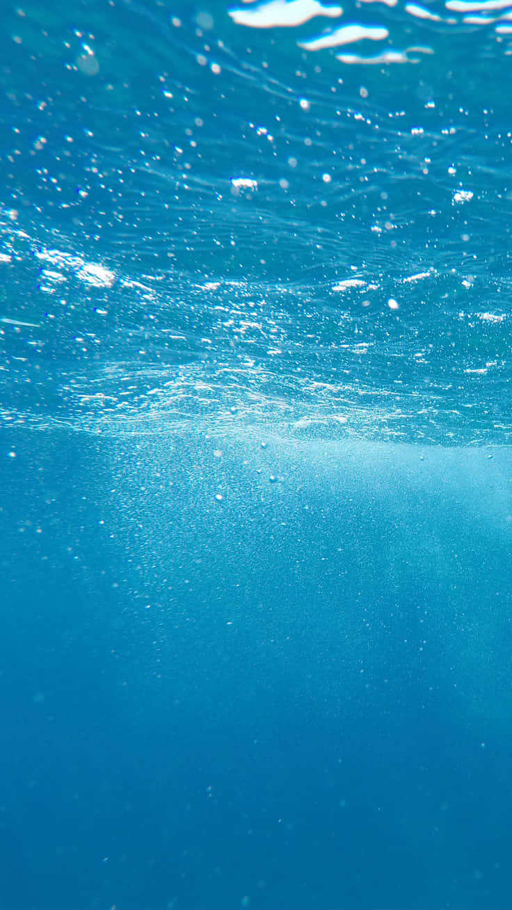 A Man Is Swimming In The Ocean Wallpaper