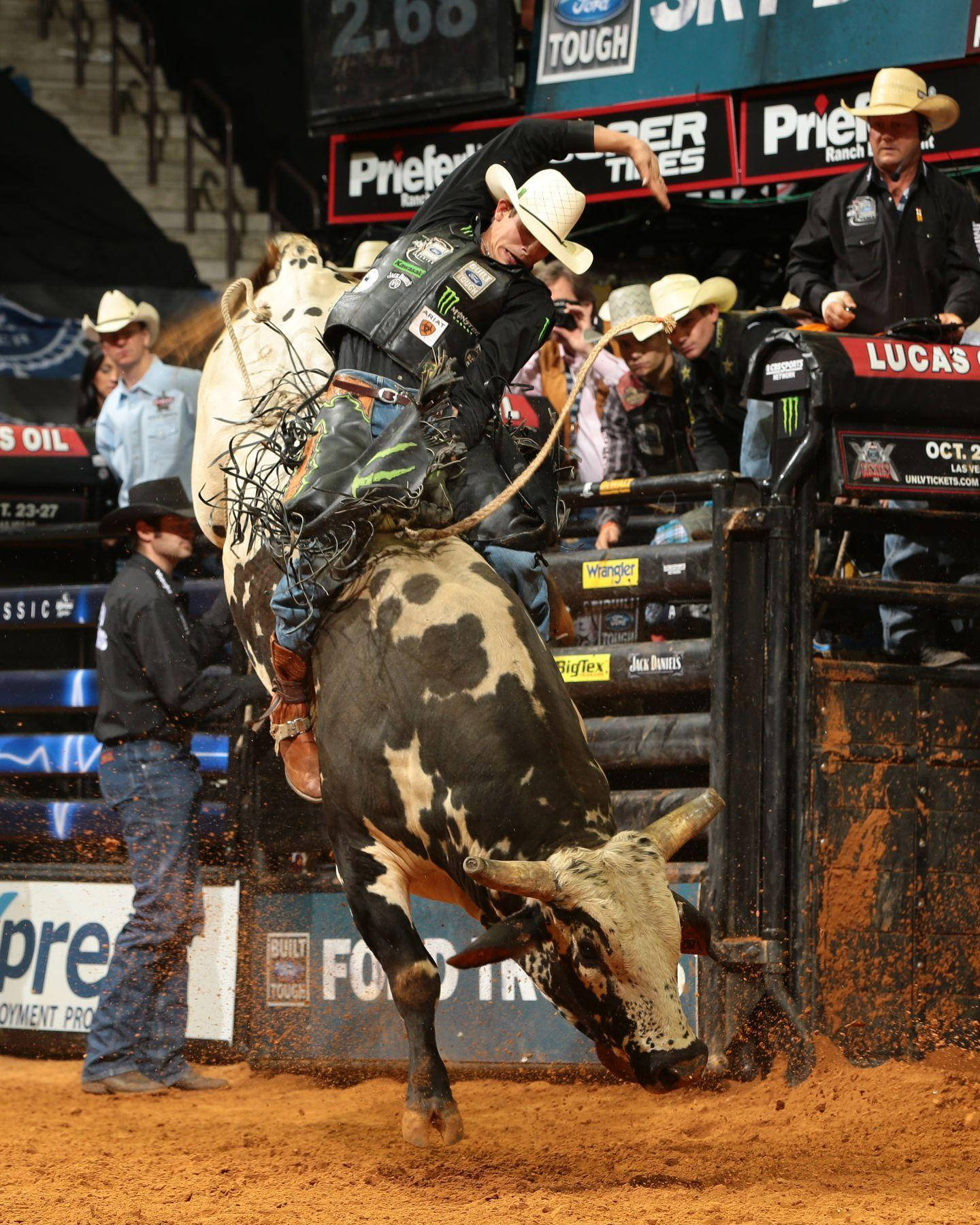 A Man Riding A Bull Wallpaper