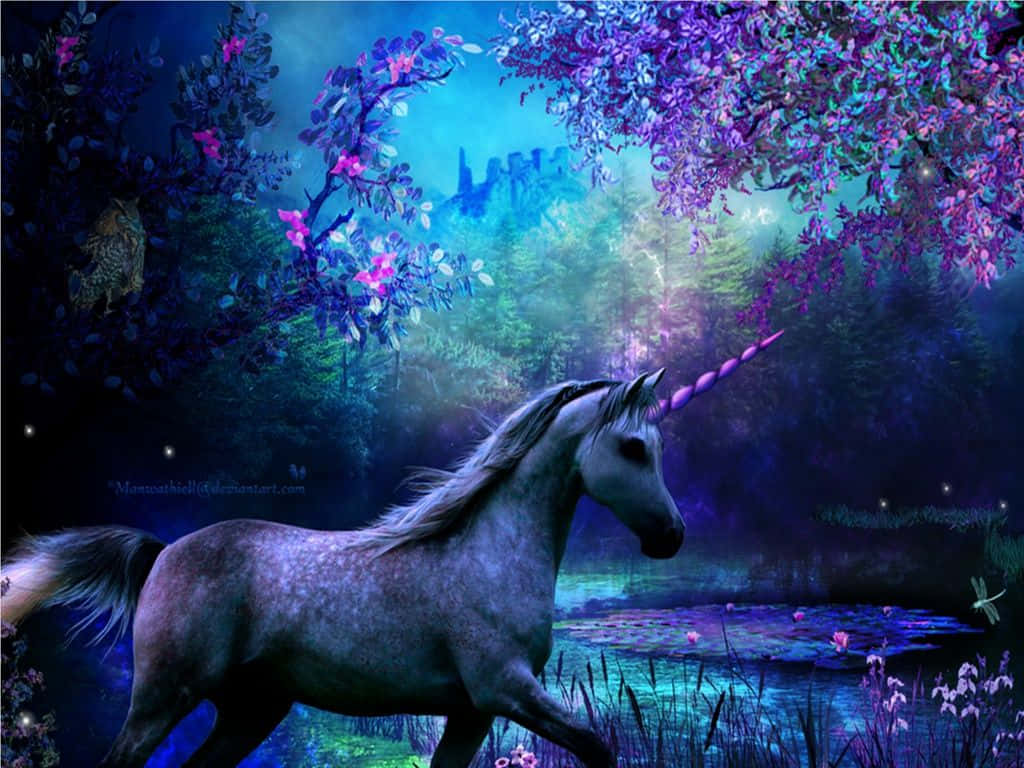 A Mythical Moment - Encountering A Real Unicorn Wallpaper