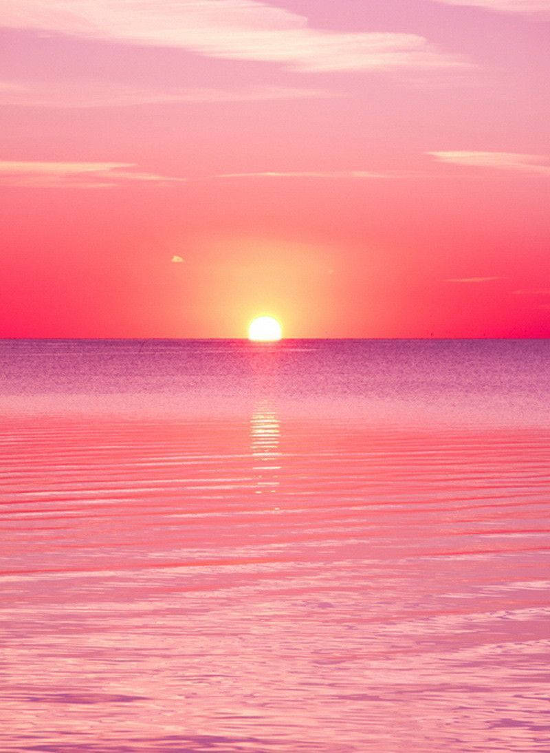 A Pink Sunset Over The Water Wallpaper