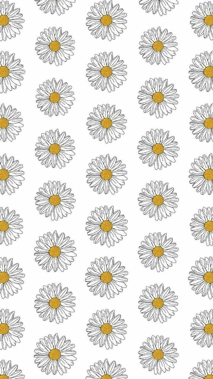 A Serene White Daisy Aesthetic Pattern Art Wallpaper