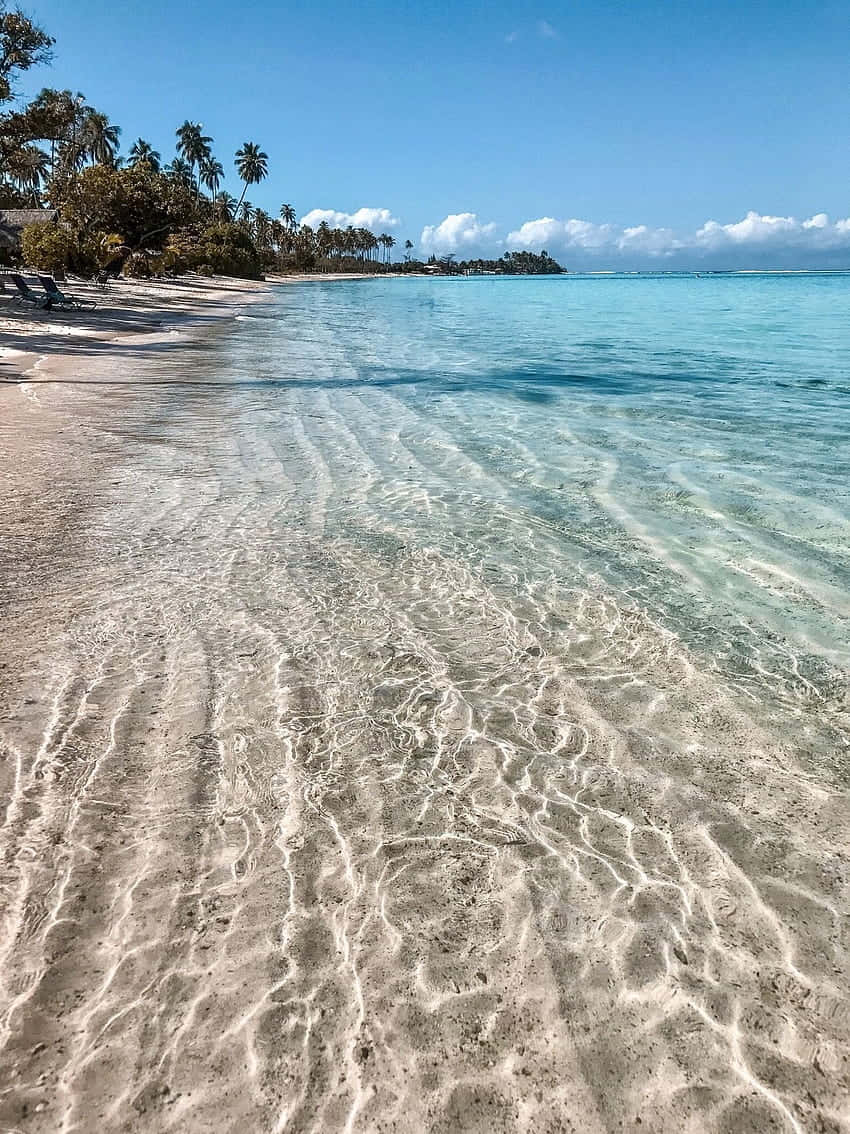 A Tropical Paradise Beach Along The Coastline Wallpaper