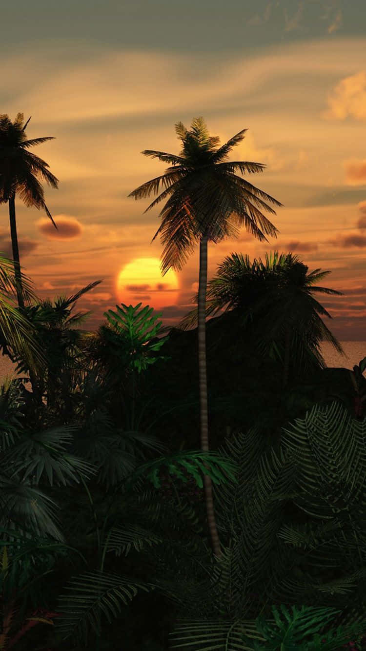 A Tropical Scene With Palm Trees And A Sunset Wallpaper