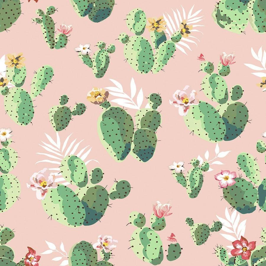 A Vibrant Pattern Of Blooming Cactus Plants Wallpaper