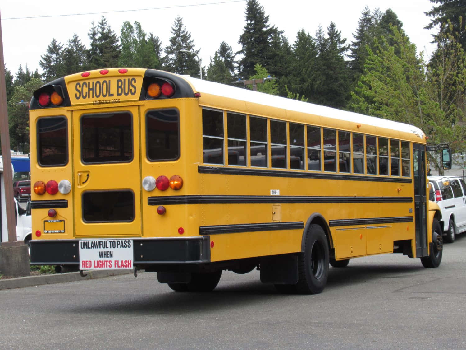 A Vibrant School Bus Parked Amid Serene Nature Wallpaper