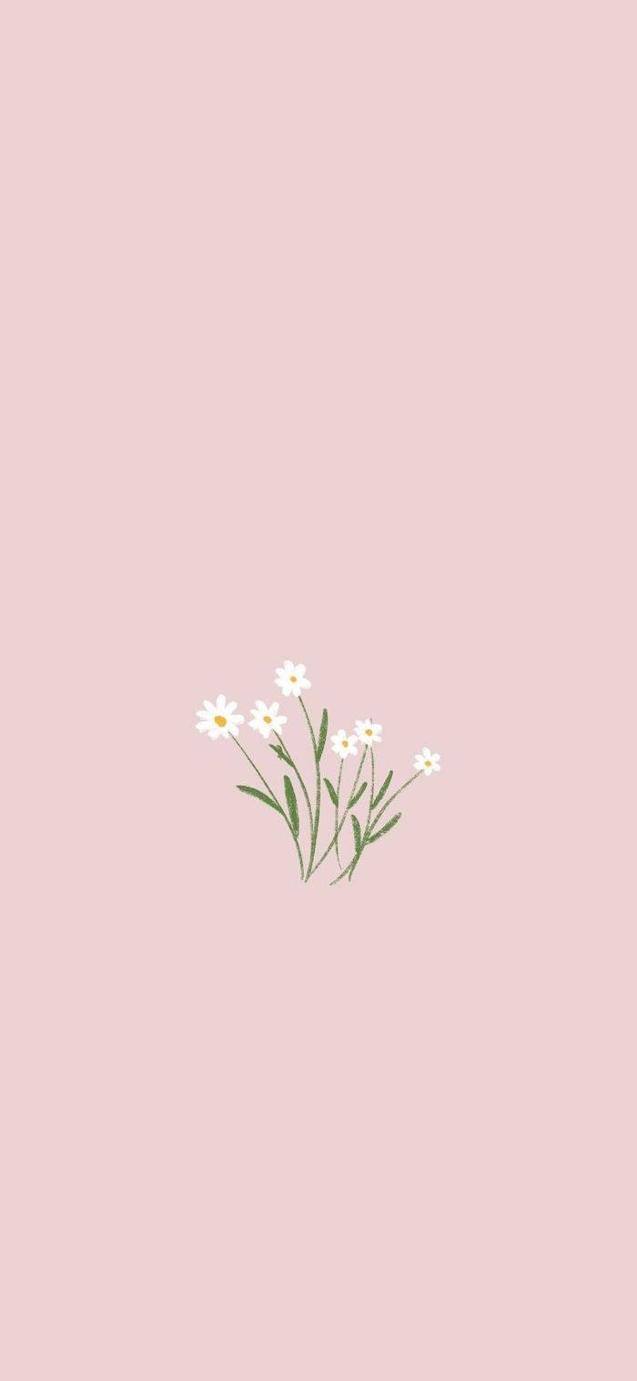 A View Of Minimalist Spring Wallpaper