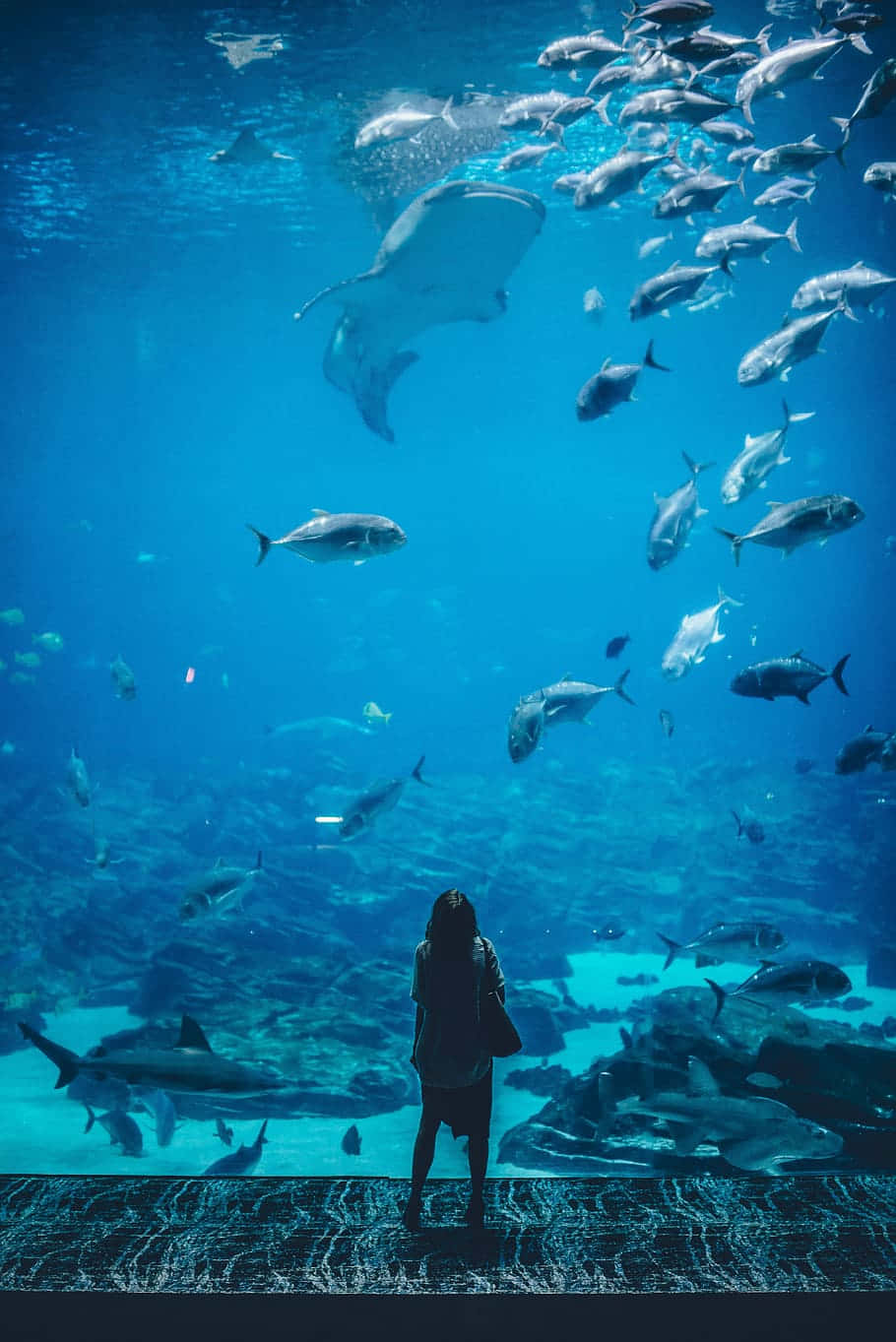 A Woman Is Standing In Front Of An Aquarium Full Of Fish Wallpaper