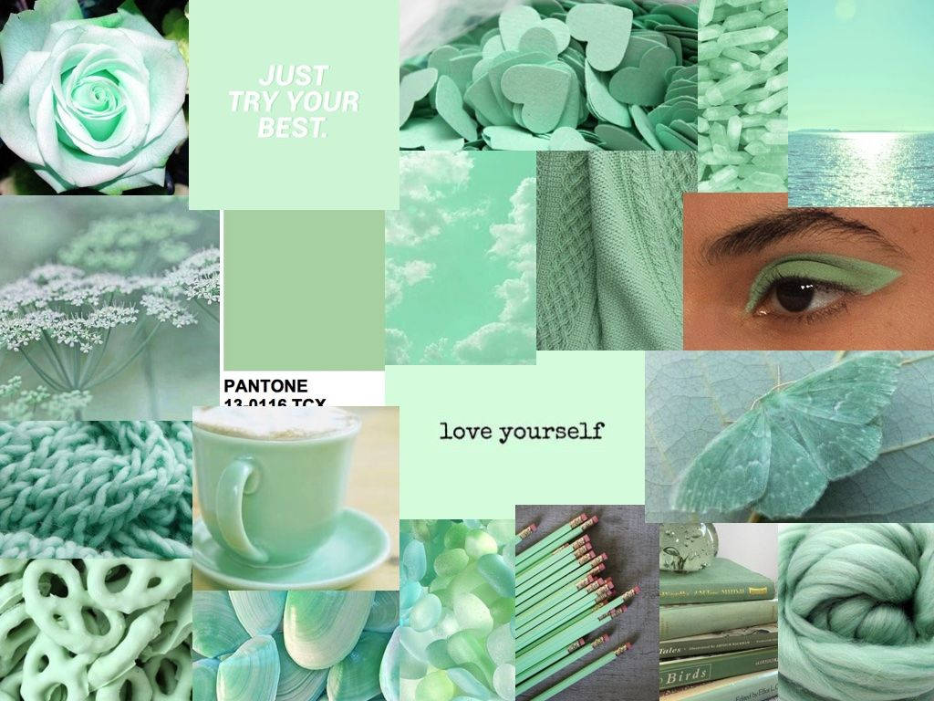 Accessory Pastel Green Aesthetic Laptop Wallpaper