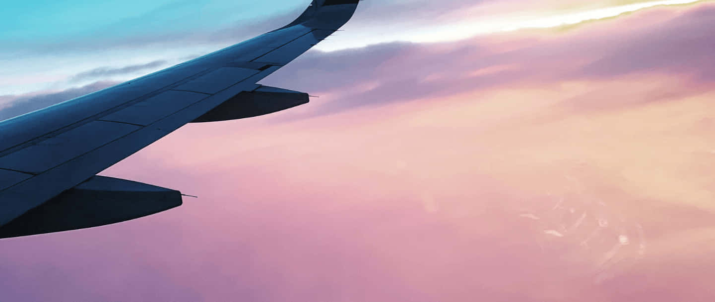 Admiring A Brightly Colored Pink Plane Wallpaper