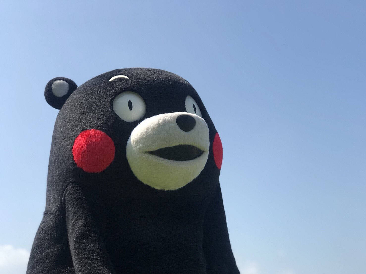 Adorable Kumamon Mascot Wallpaper