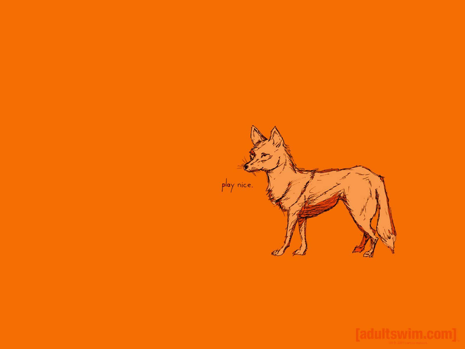 Adult Swim Fox Drawing Wallpaper