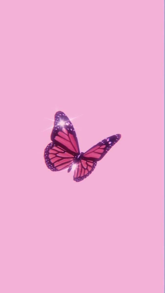 Aesthetic Girly Butterfly Wallpaper