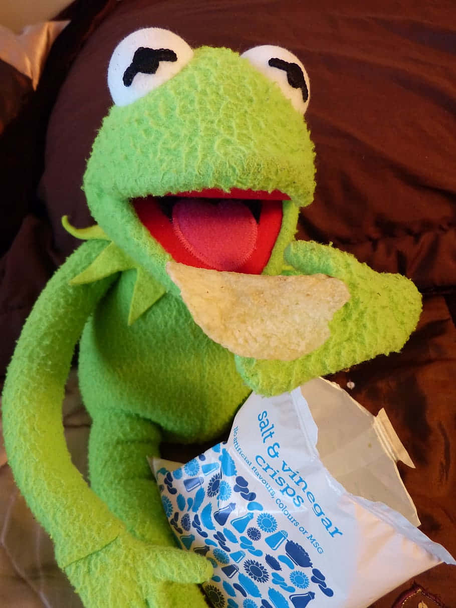 Aesthetic Kermit Eating Chips Wallpaper