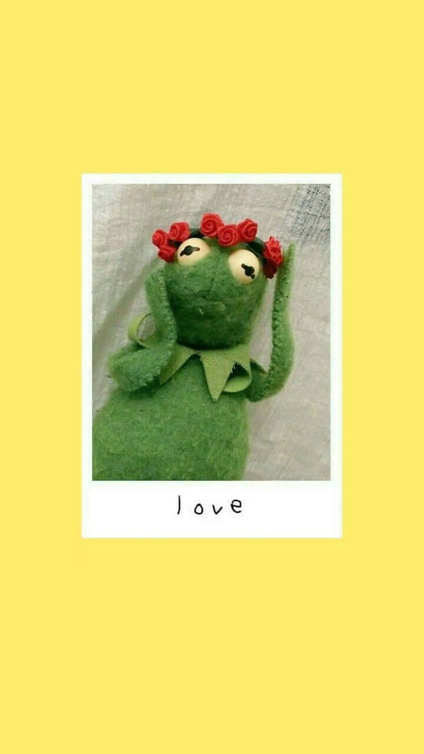 Aesthetic Kermit Wearing Flower Crown Wallpaper