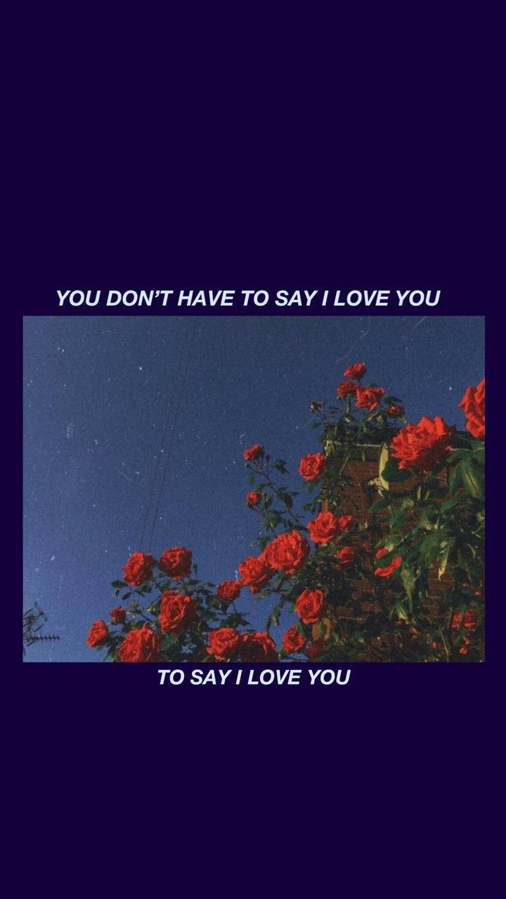 Aesthetic Love Say I Love You Roses Wallpaper