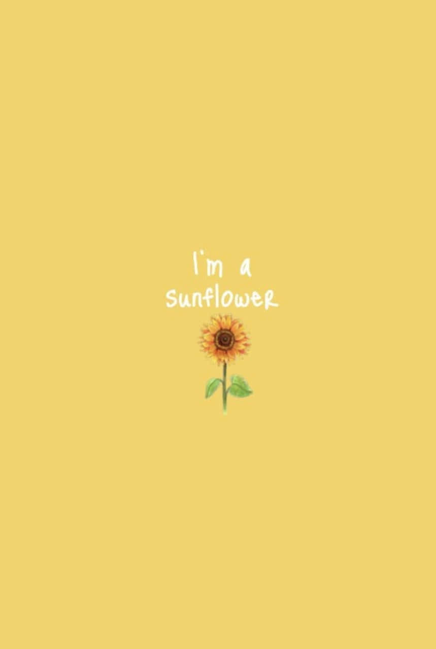 Aesthetic Summer Sunflower Wallpaper