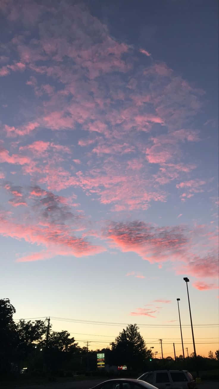 Aesthetic Sunset Iphone With Cars Parked In Front Of Trees Wallpaper