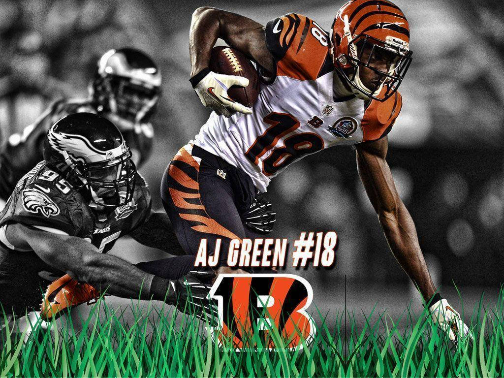 Aj Green 18 Nfl Players Wallpaper